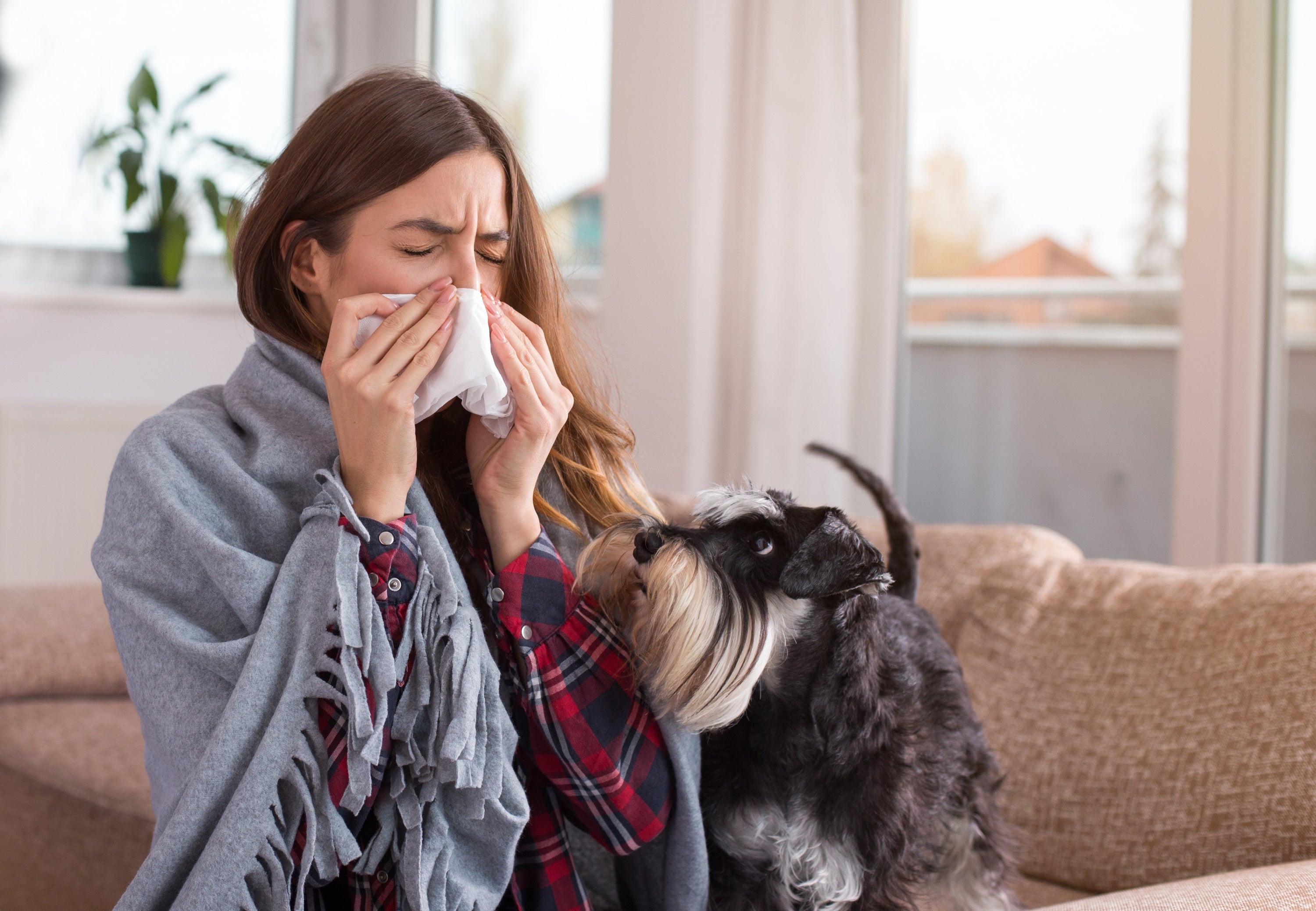Air Purifier vs. Dog & Cat Allergies - Which Air Purifier for Relief?