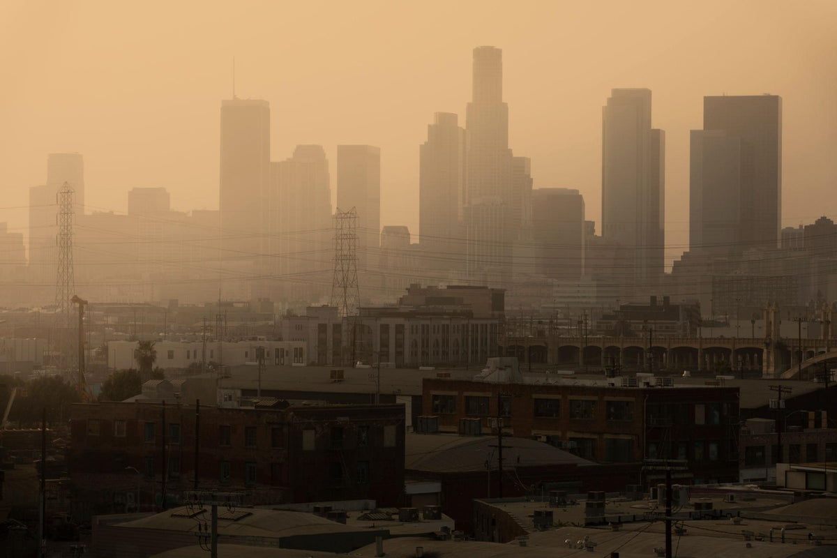 Air Purifier for Wildfire Smoke: How to Choose and Use One