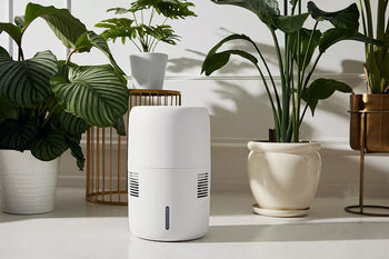 Air Humidifiers