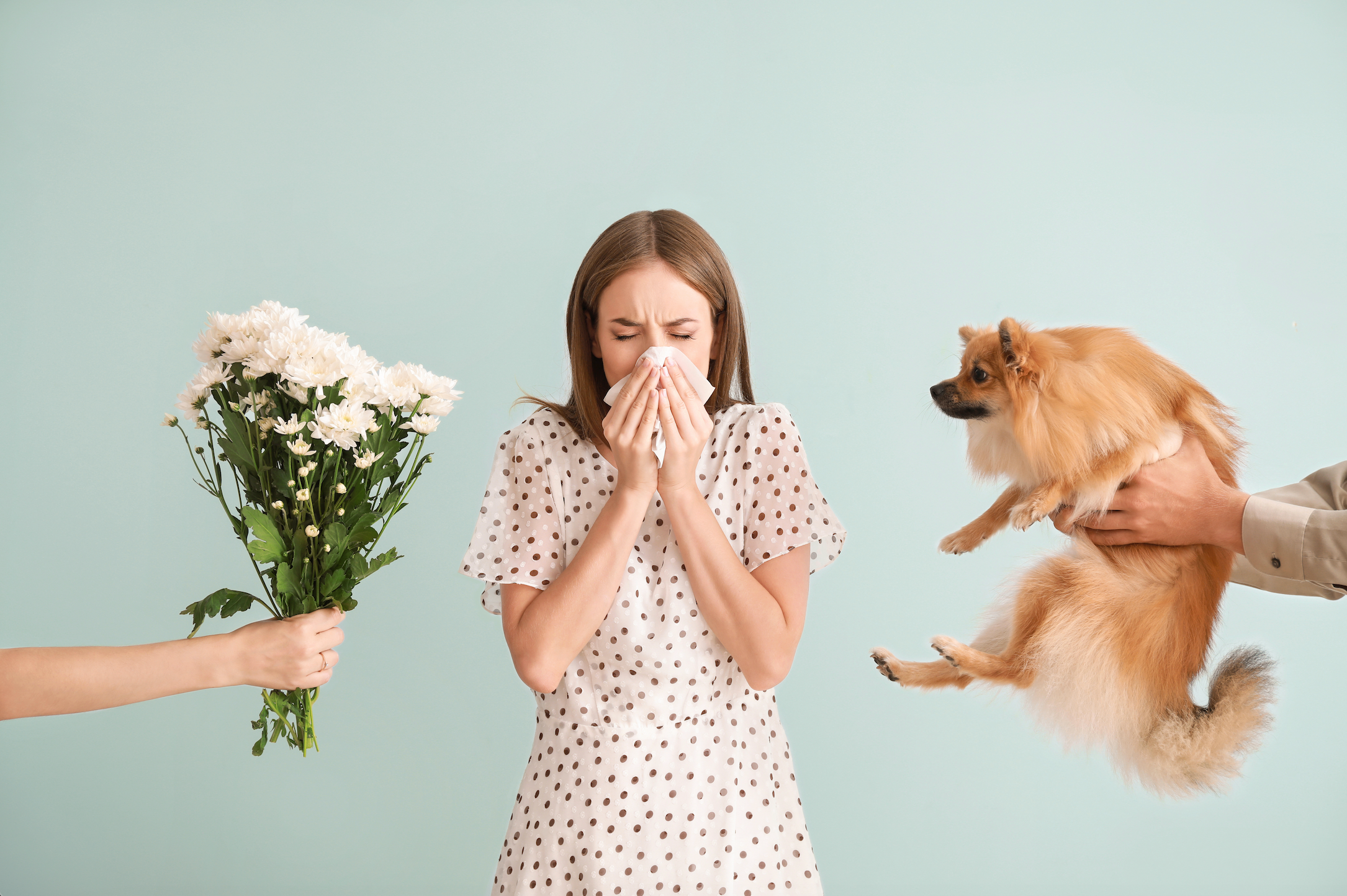 woman suffering from allergies to pets and pollen, klarta humea, humidifier, allergy relief