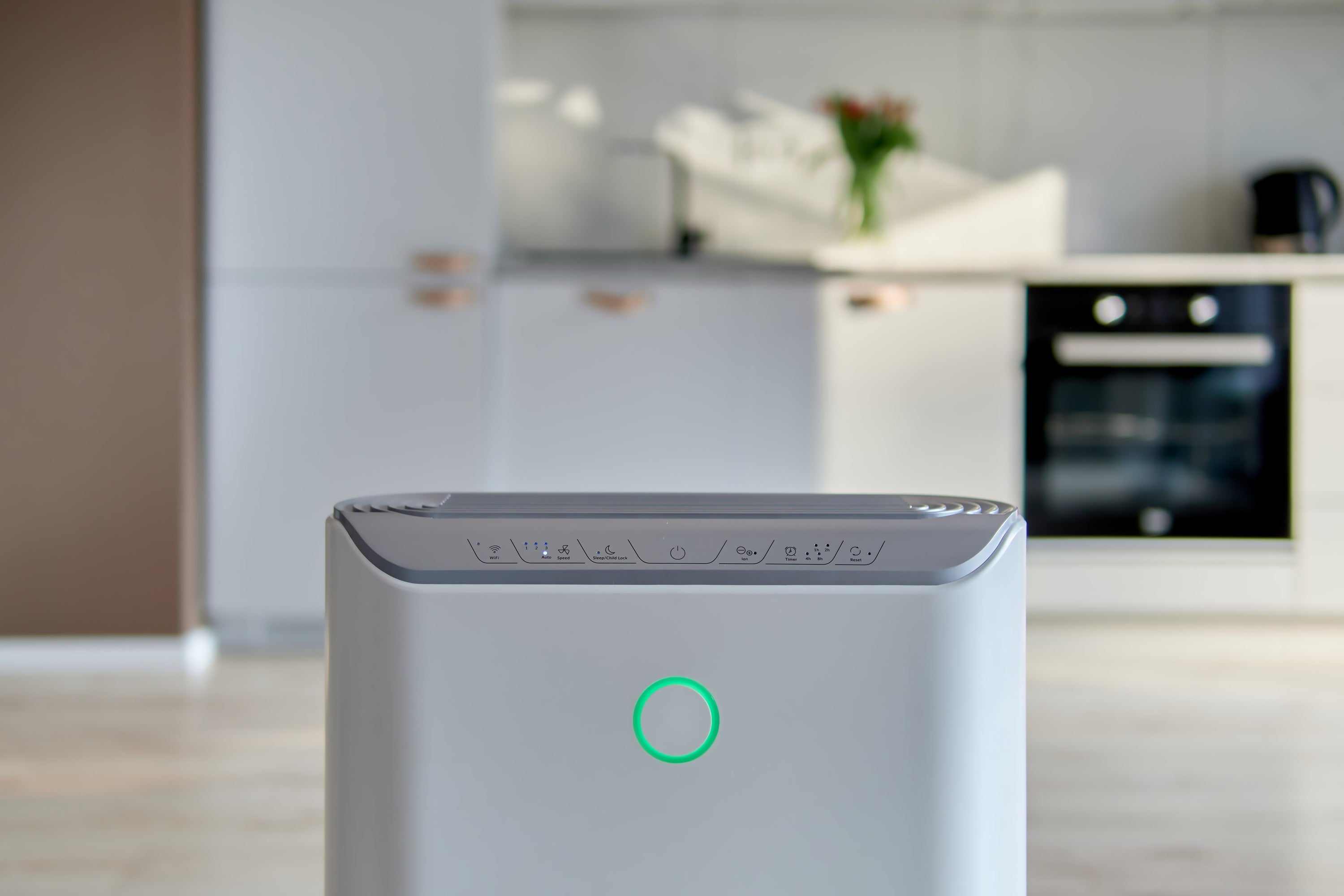 Air purifier - is it worth it? 10 reasons for yes!