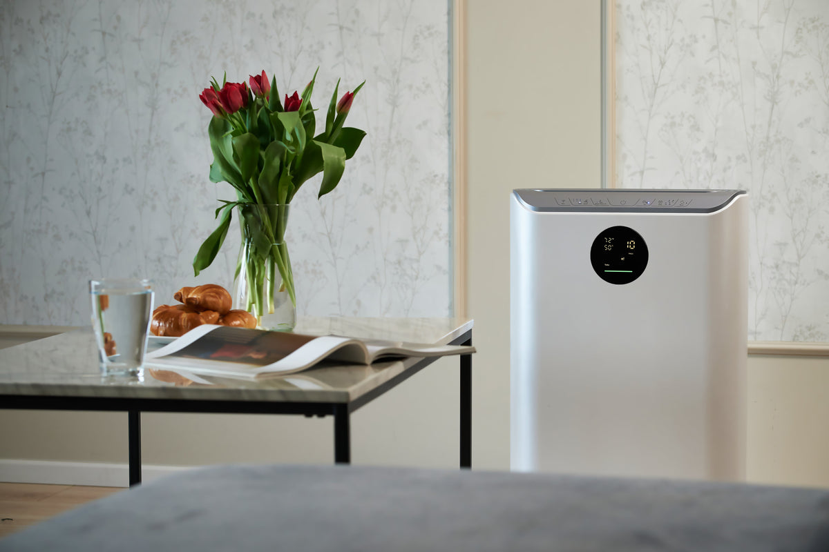 Best Air Purifier for Allergies in 2025: Top Pick for Cleaner Indoor Air | Klarta