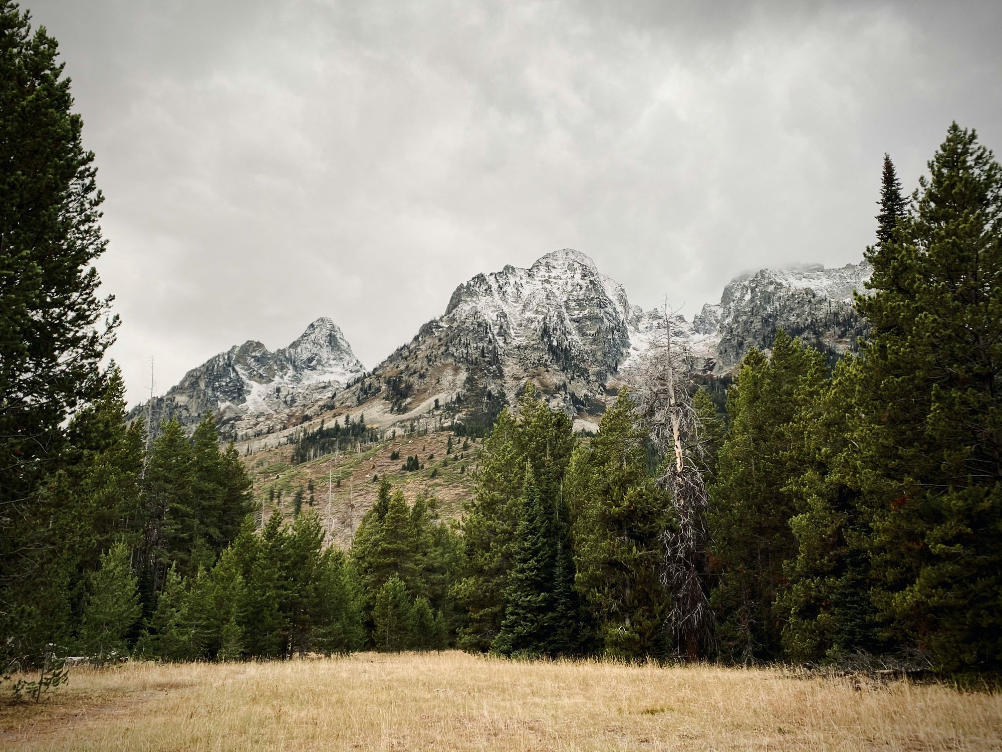 Evaporative humidifier – a natural choice for states to combat hard water