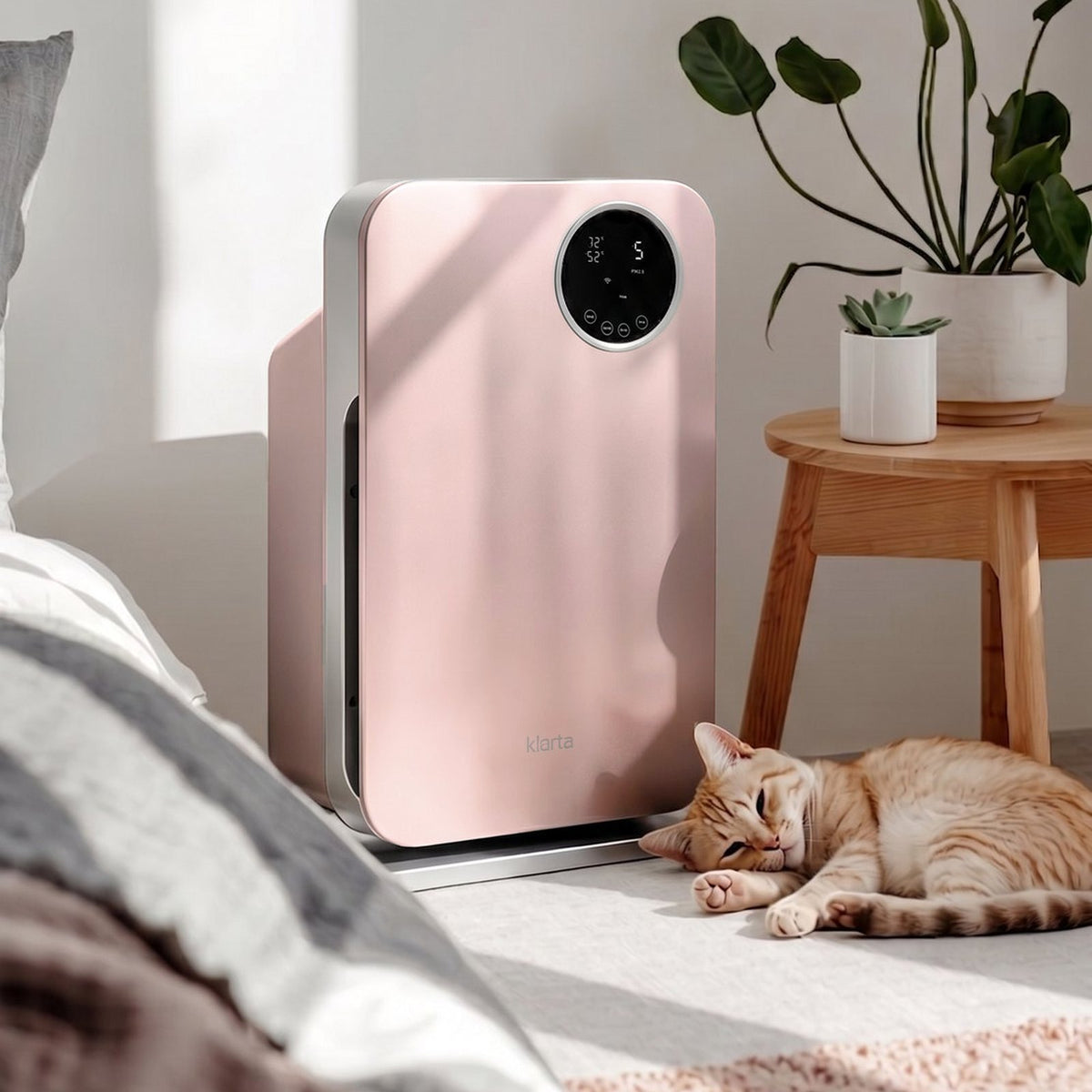 Klarta Forste air purifier in Rose (pink) in a bedroom, with a cat sleeping beside it