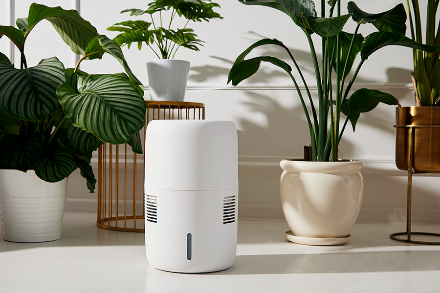 Klarta Humea humidifier in White among house plants